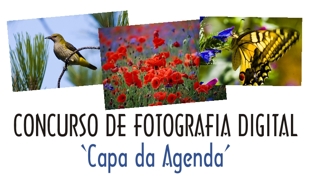 ... concurso terminado ...